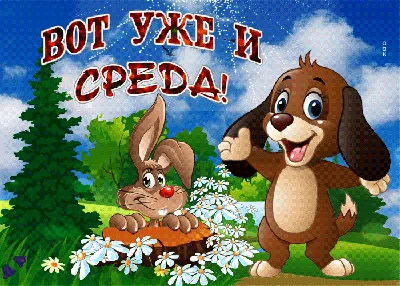 Среда - это маленькая пятница