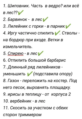 Ну вот уже суббота!!! - 178 ответов - Курилка - Форум Авто 