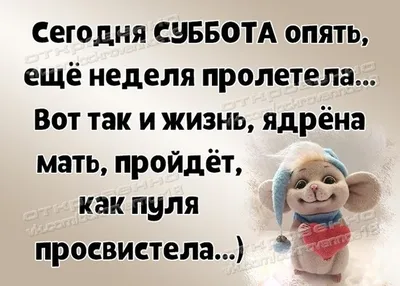 Вот планы на субботу: научиться безопасной езде на электросамокате -  