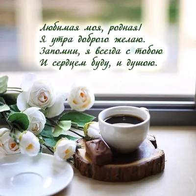 Pin by Gulnara on ДОБРОЕ УТРО ! Привет !☕☕ | Good morning, Teddy bear,  Positive quotes