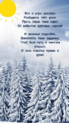 Вот и утро наступило | ЛИЛЯ ЛОБАНОВА | Дзен