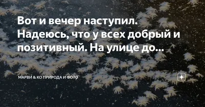 Вот и наступил добрый вечер. …» — создано в Шедевруме