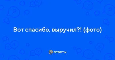 Вот почему слово “спасибо” - волшебное. | Гатаулин | Дзен