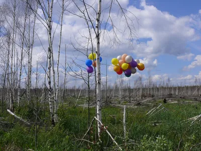 Die Kinder : Воздушные шары в небе.