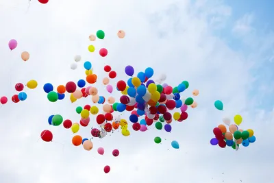 Опасность воздушных шаров обрисовали в Приморье накануне Дня знаний