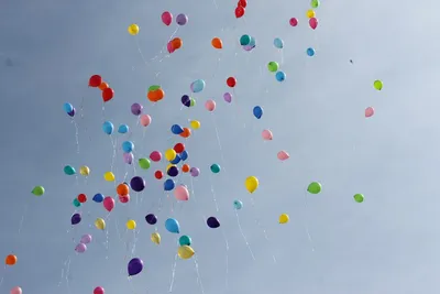 Они могут. Студенты УрФУ добились запрета на запуск воздушных шаров на  торжественном мероприятии в своём вузе | Пикабу