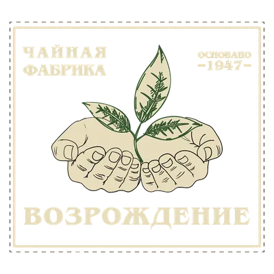 Чайная фабрика-плантация "Возрождение" — Производство экологически чистого  чая