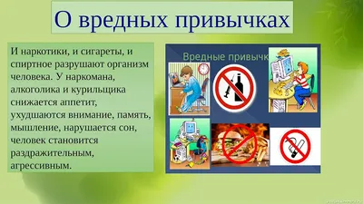 Вредные привычки, магазин табака и курительных принадлежностей, ул.  Калинина, 64, Пермь — Яндекс Карты