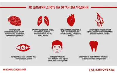 Вредные привычки, магазин табака и курительных принадлежностей, Хабаровская  ул., 161, Пермь — Яндекс Карты