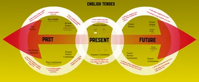 Времена английского языка в запоминающихся примерах | Бывшая библиотека  натуралиста - канал переехал! | Дзен