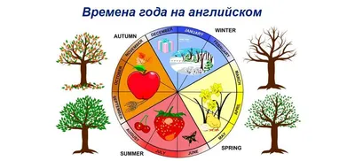 времена года для детей на английском языке | Seasons worksheets, English  lessons for kids, Kindergarten classroom themes