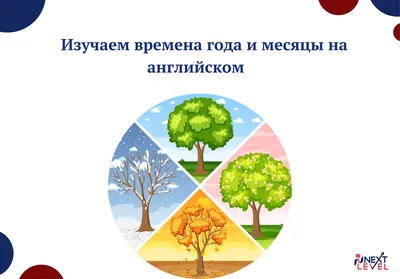 Времена года на английском языке с транскрипцией, переводом и произношением