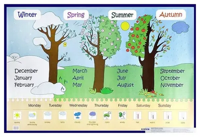 Времена года и месяцы на английском | English Early | Дзен