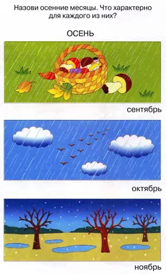 Картинки времена года для детей | Детское развитие  wiosna |  Childhood development, Drawing for kids, Weather cards