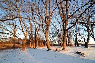 Зима – это чарующее время года, завораживающе чистая природа, окутанная в  белоснежные одежды. | Winter landscape, Winter scenery, Winter pictures