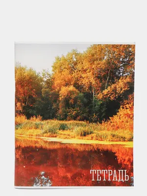 Тетрадь с природой 48 листов в клетку "Времена года" купить по цене 199 ₽ в  интернет-магазине KazanExpress