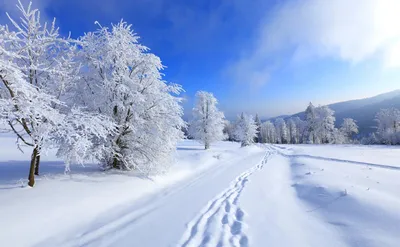 Фотография речка зимой зимние Природа Времена года