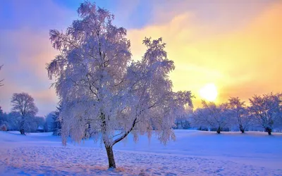 Времена года зима - фото и картинки: 58 штук