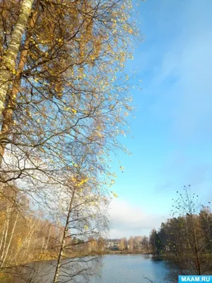 Время года осень 🍂» — создано в Шедевруме