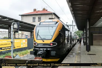 Огромный клин улетающих на юг журавлей заметили в небе над красноярским  заповедником -  - НГС24