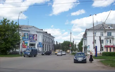 Папка-передвижка «Птицы» для детей старшей группы (6 фото). Воспитателям  детских садов, школьным учителям и педагогам - Маам.ру