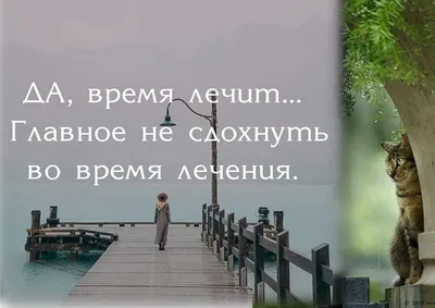 Время лечит... (Валидэ) / Стихи.ру