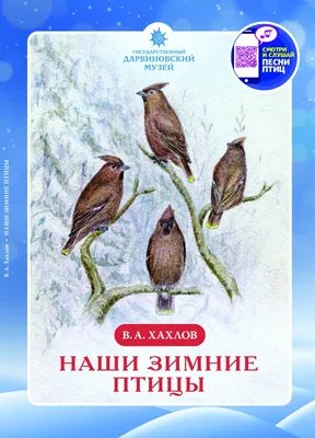 Хотите себе фото с птицей полутрупом? | Пикабу