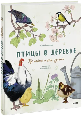 В. А. Хахлов. Наши зимние птицы Государственный Дарвиновский музей