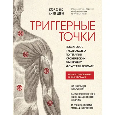 Где расположены болевые точки на теле человека? | Самооборона на Диване |  Дзен