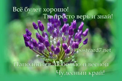 Открытка с именем Все будет хорошо Доброе утро картинки. Открытки на каждый  день с именами и пожеланиями.