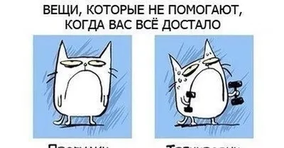 Доставка подарочный набор «когда всё достало»: тарелка для битья , чай 50 г  по Караганде - Арт-букет