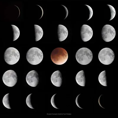 Вращение Луны вокруг Земли: сидерический, синодический месяц