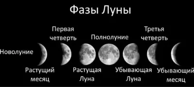 Фазы Луны Установлены Векторное изображение ©marklys 346922682