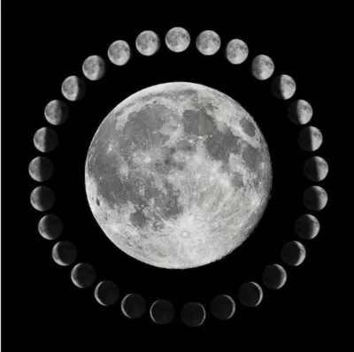 Картинки все фазы луны (68 фото) » Картинки и статусы про окружающий мир  вокруг