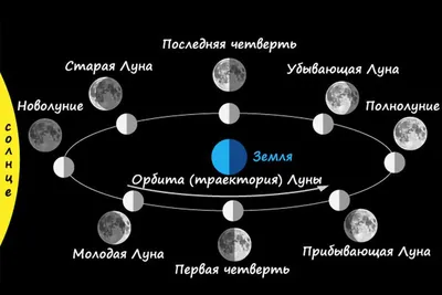 Влияние Луны и фаз луны на организм человека
