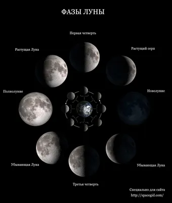 Фазы Луны | cosmo-dude | Дзен