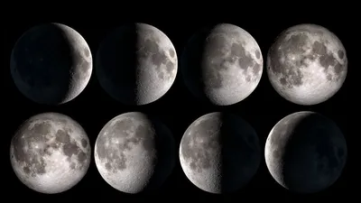 Как определить фазу Луны?