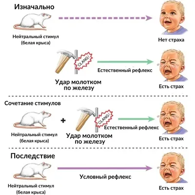 Все виды страха. Ну очень странные фобии | КОЛЛЕКЦИОНЕР УЖАСОВ - МИСТИКА и  УЖАСЫ | Дзен