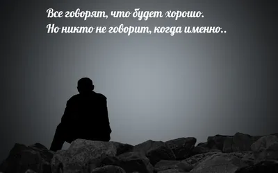 Все хорошо, что хорошо кончается — обсуждение в группе "Кошки" | Птичка.ру