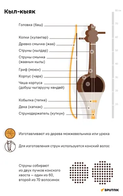 Шаблон графика музыкальных инструментов Все типы музыкального Instr  Иллюстрация вектора - иллюстрации насчитывающей гобой, согласие: 62336118