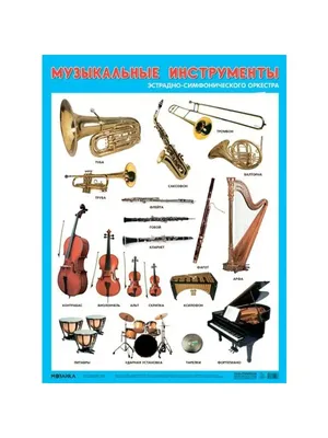 Музыкальные инструменты эстрадно-симфонического оркестра "Мозайка"  155425558 купить за 243 ₽ в интернет-магазине Wildberries