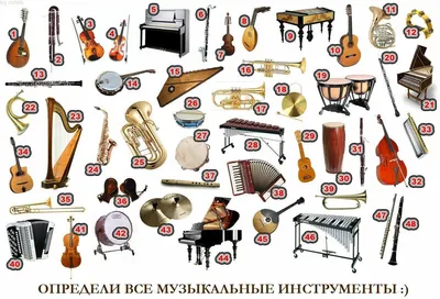 Плакат обучающий А2 ламинир. Музыкальные инструменты на английском языке, с  переводом 457x610 мм - купить с доставкой по выгодным ценам в  интернет-магазине OZON (339009194)