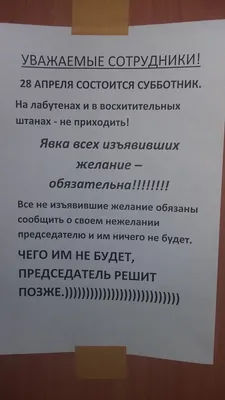 Все на субботник!