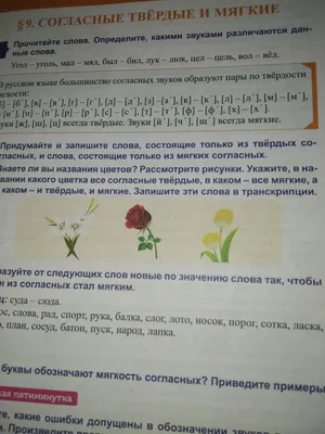 Тайный язык цветов Издательство КоЛибри 19239569 купить за 492 ₽ в  интернет-магазине Wildberries