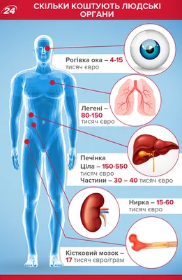 Рудиментарные органы человека