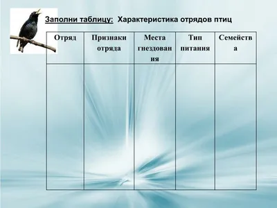 Смотреть слайды Птицы. Раздел 4. Многообразие птиц