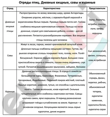 PPT - Урок по теме: «Класс Птицы. Отряды Воробьинообразные и Голенастые»  PowerPoint Presentation - ID:3251296