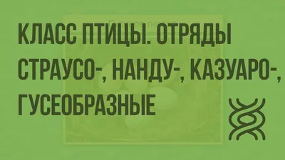 Класс птицы, подготовка к ЕГЭ по биологии