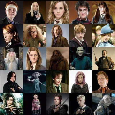 The Greatest 'Harry Potter' Characters | Гарри поттер, Факты о гарри поттере,  Юмор о гарри поттере