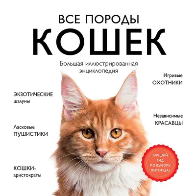 Все породы кошек (Дэвид Элдертон) - купить книгу с доставкой в  интернет-магазине «Читай-город». ISBN: 978-5-69-949807-9